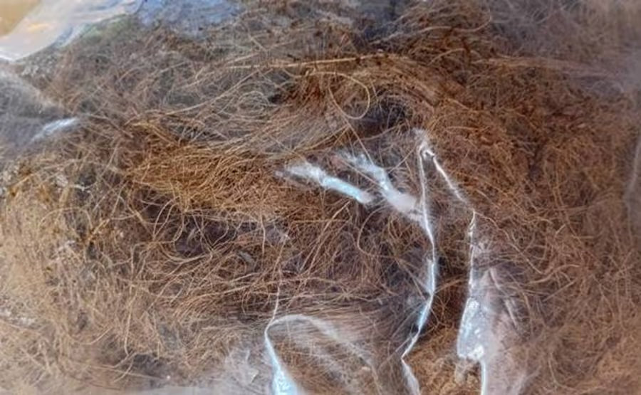 Coco Coir Fibre