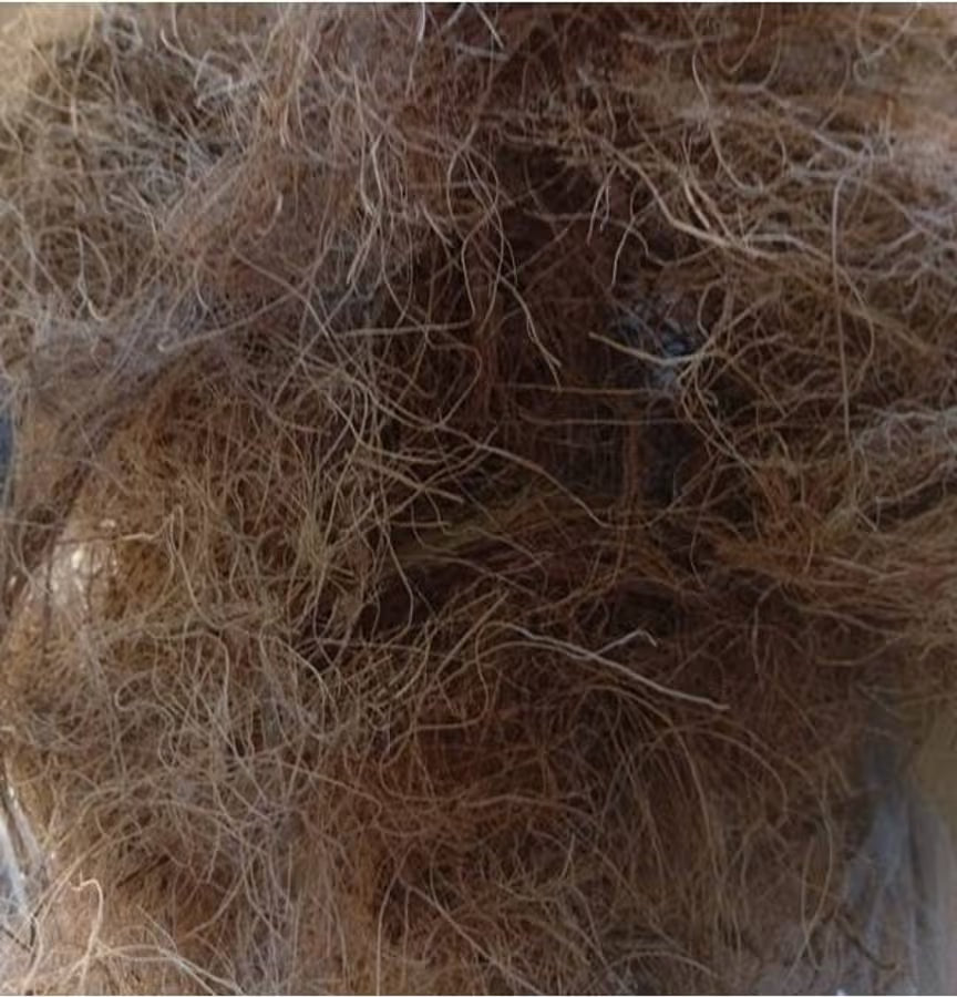 Coco Coir Fibre