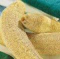 SEEDS: Loofa Sponge Gourd