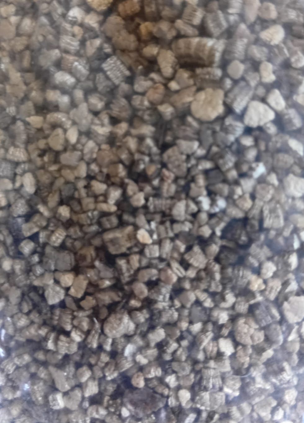 Vermiculite 1 Litre